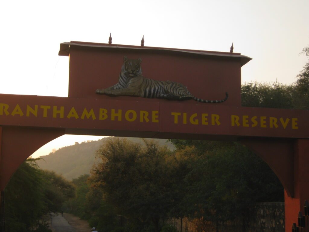 Tiger Reserve - Ranthambore, Rajasthan