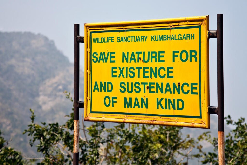 Wildlife Sanctuary - Kumbhalgarh, Rajasthan